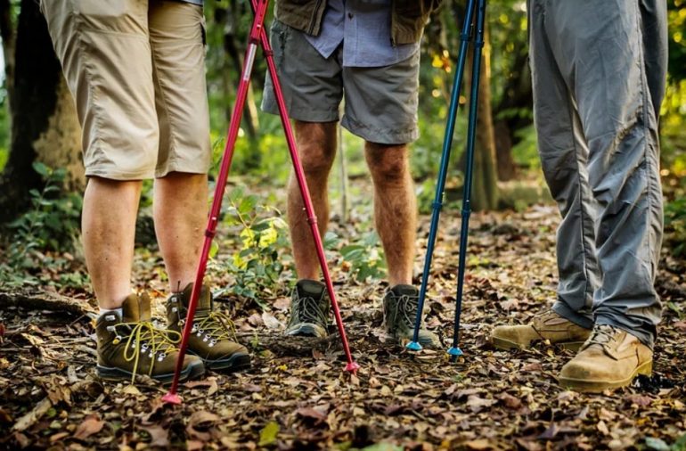 Does Expensive Hiking Sticks Make a Difference for Long-Distance Trekkers