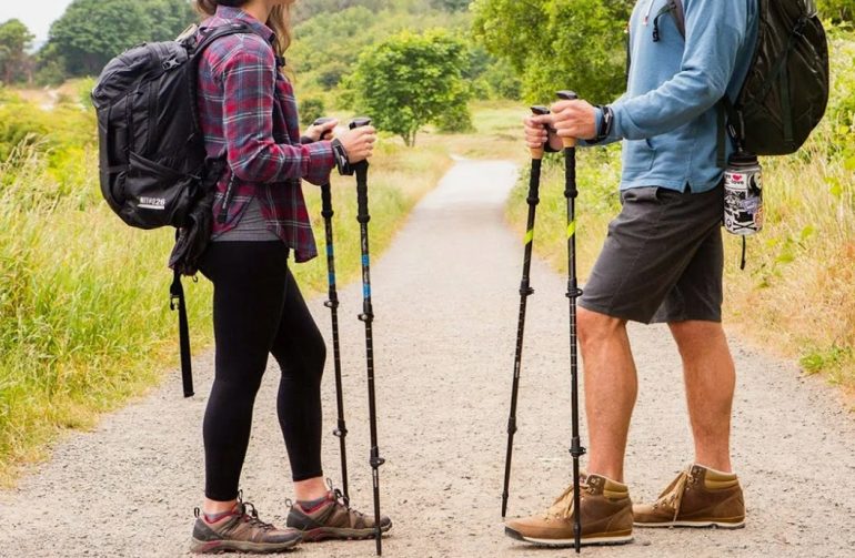 Does Expensive Hiking Sticks Make a Difference for Long-Distance Trekkers
