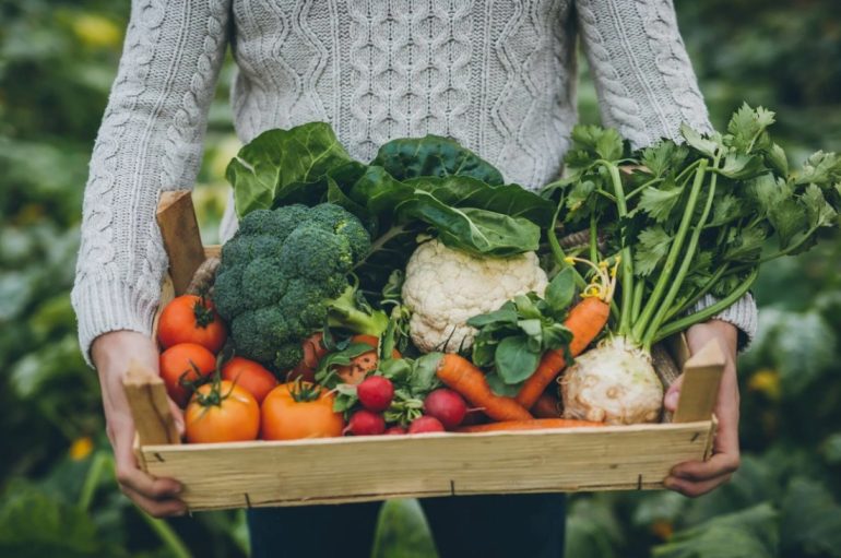 Clay's Garden Center: Your Local Source for Organic Garden Vegetables