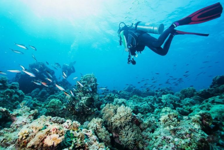 What Factors Influence the Price of Scuba Diving Certification?