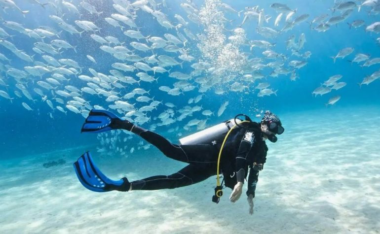 Adventure Safely: How Tinleg Protects Scuba Divers