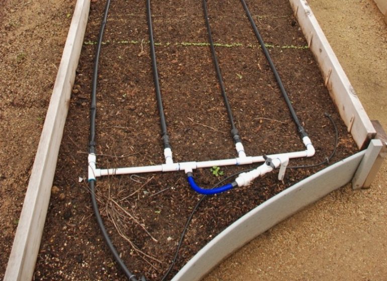 Connecting Drip Lines: Best Practices for Raised Garden Beds